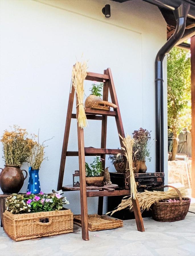 Apartmán Onomad Boljevac Exteriér fotografie